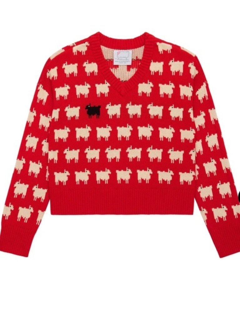 Warm & Wonderful Women's Diana Edition Cotton Linen V-Necksheep Sweater Red, S M — image 3 of 8